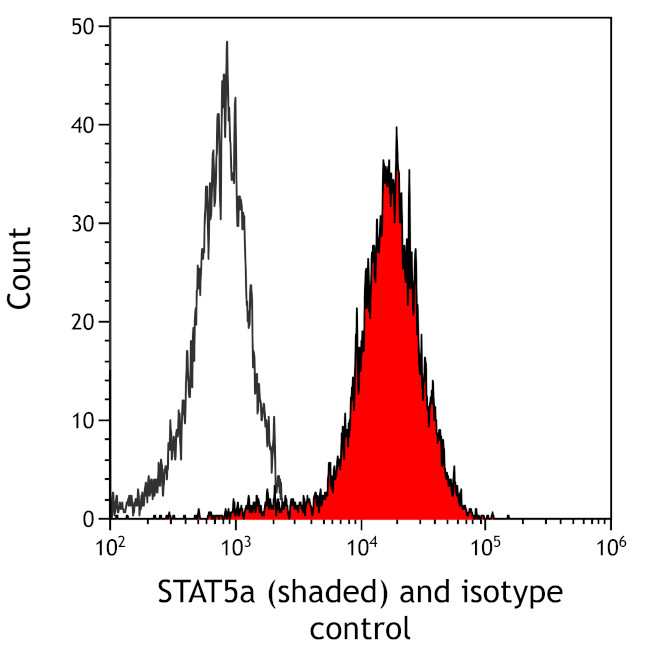 STAT5 alpha Antibody in Flow Cytometry (Flow)