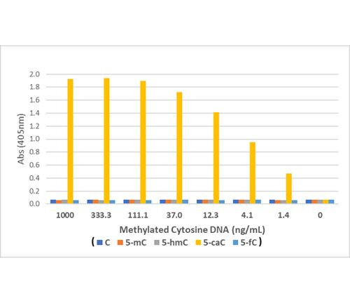 5-Carboxylcytosine Antibody in ELISA (ELISA)