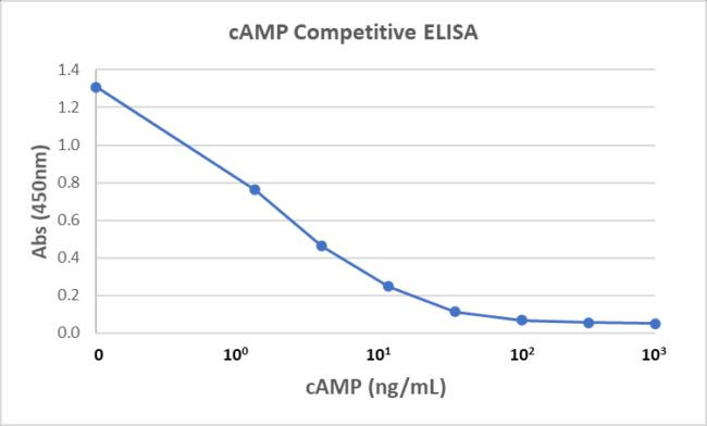 cAMP Antibody in ELISA (ELISA)