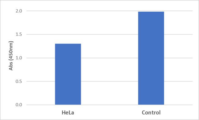 cAMP Antibody in ELISA (ELISA)