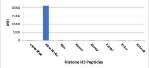 H3K9me2/H3K14ac Antibody in Luminex (LUM)