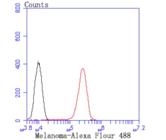 Tyrosinase Antibody in Flow Cytometry (Flow)