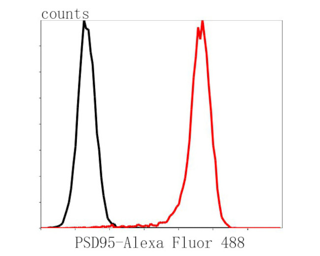 PSD-95 Antibody in Flow Cytometry (Flow)