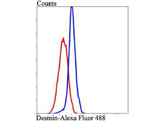 Desmin Antibody in Flow Cytometry (Flow)