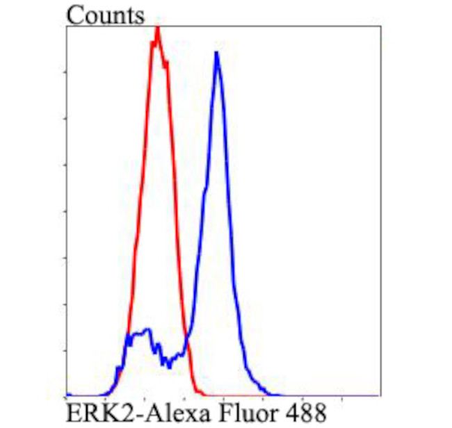 ERK2 Antibody in Flow Cytometry (Flow)