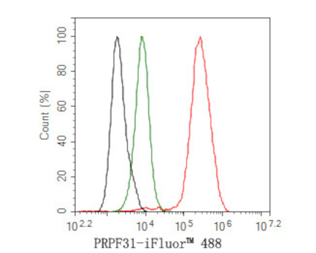 PRPF31 Antibody in Flow Cytometry (Flow)