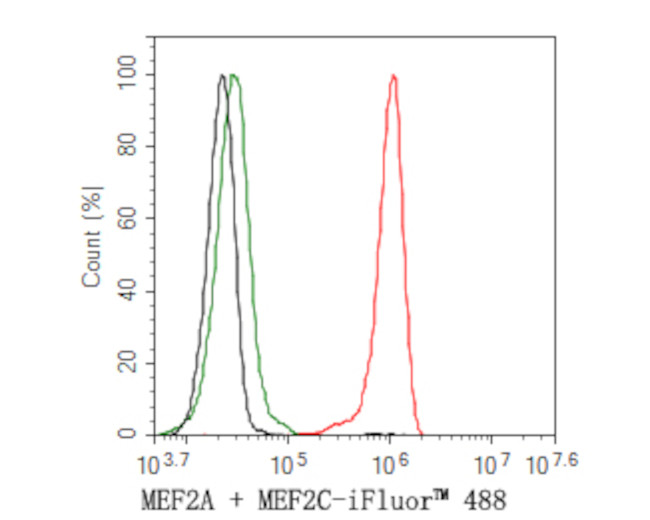 MEF2A/MEF2C Antibody in Flow Cytometry (Flow)