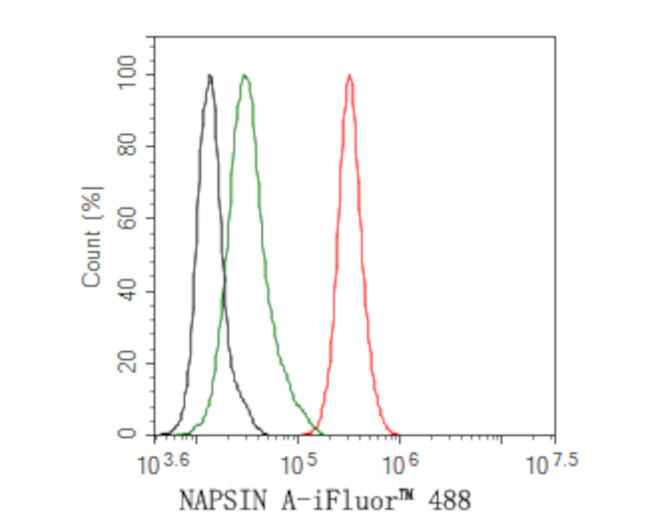 Napsin A Antibody in Flow Cytometry (Flow)