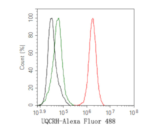 UQCRH Antibody in Flow Cytometry (Flow)