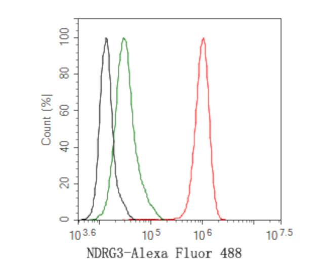 NDRG3 Antibody in Flow Cytometry (Flow)