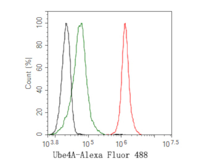 UBE4A Antibody in Flow Cytometry (Flow)