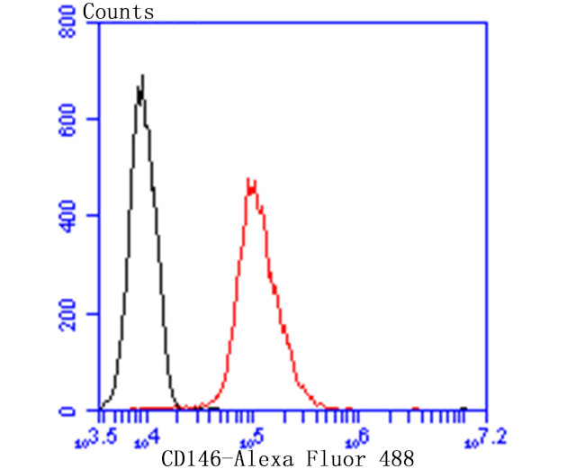 CD146 Antibody in Flow Cytometry (Flow)