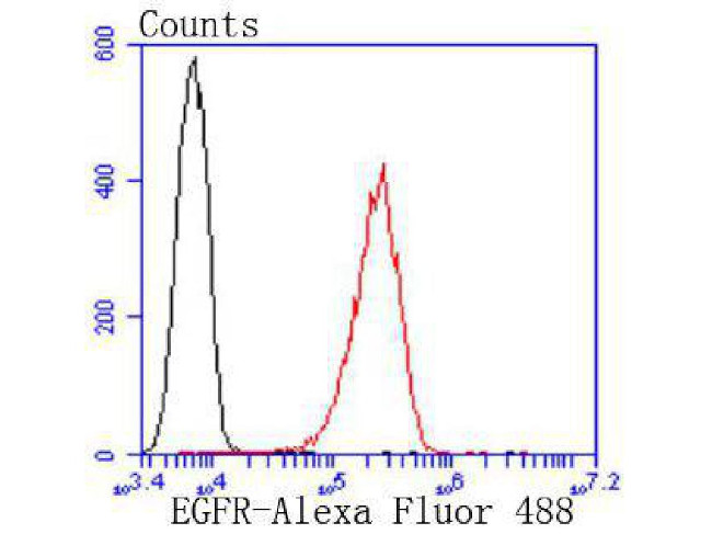 EGFR Antibody in Flow Cytometry (Flow)