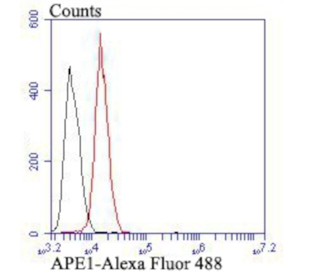 APE1 Antibody in Flow Cytometry (Flow)