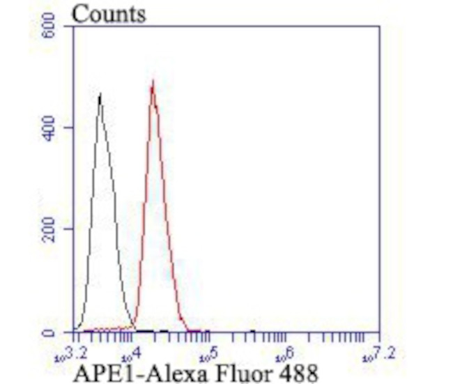 APE1 Antibody in Flow Cytometry (Flow)