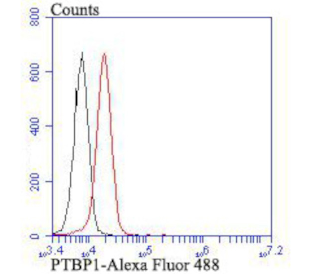 PTBP1 Antibody in Flow Cytometry (Flow)