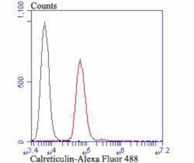 Calreticulin Antibody in Flow Cytometry (Flow)