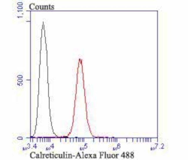 Calreticulin Antibody in Flow Cytometry (Flow)