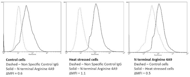 N-terminal Arginylation Antibody in Flow Cytometry (Flow)