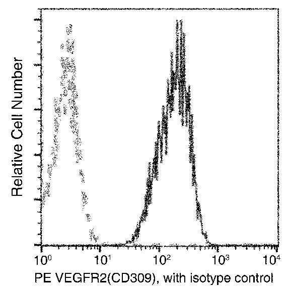 VEGF Receptor 2 Antibody in Flow Cytometry (Flow)