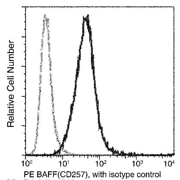 BAFF Antibody in Flow Cytometry (Flow)