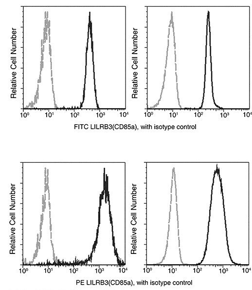 CD116 Antibody in Flow Cytometry (Flow)