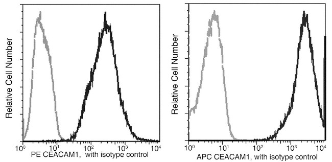 CEACAM1 Antibody in Flow Cytometry (Flow)