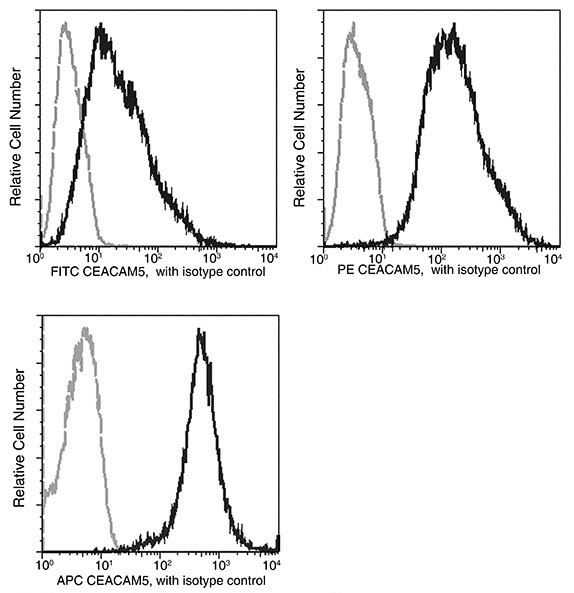 CEA Antibody in Flow Cytometry (Flow)