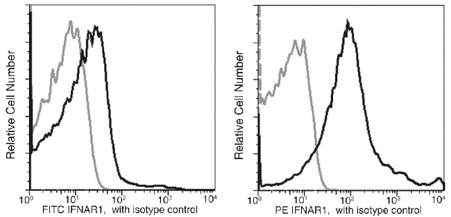 IFNAR1 Antibody in Flow Cytometry (Flow)