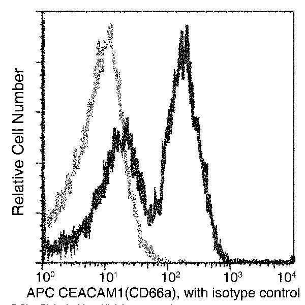 CEACAM1 Antibody in Flow Cytometry (Flow)