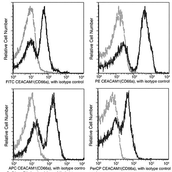 CEACAM1 Antibody in Flow Cytometry (Flow)