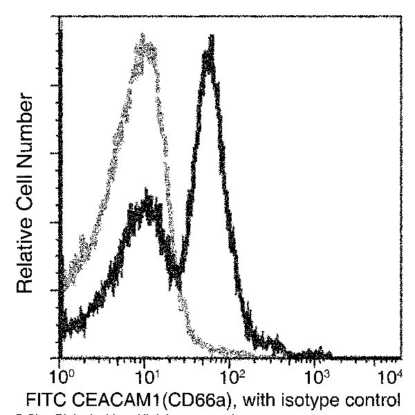 CEACAM1 Antibody in Flow Cytometry (Flow)