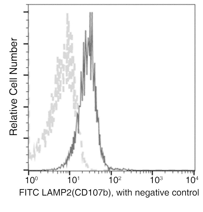 LAMP2 Antibody in Flow Cytometry (Flow)