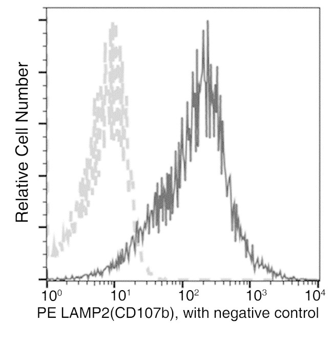 LAMP2 Antibody in Flow Cytometry (Flow)