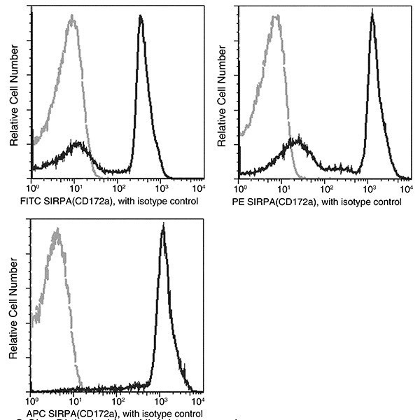 SIRP alpha Antibody in Flow Cytometry (Flow)