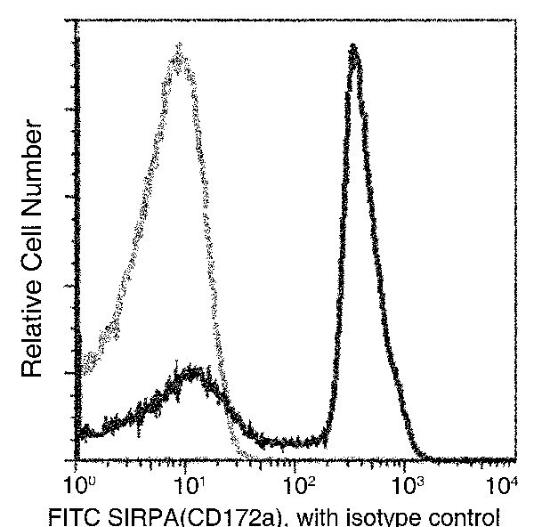 SIRP alpha Antibody in Flow Cytometry (Flow)