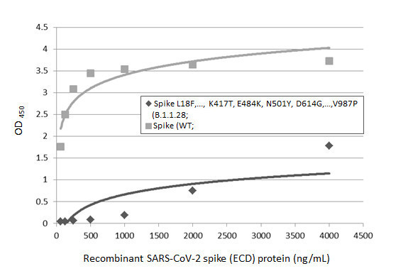 SARS-CoV-2 Spike Protein RBD (strain Wuhan-Hu-1) Antibody in ELISA (ELISA)