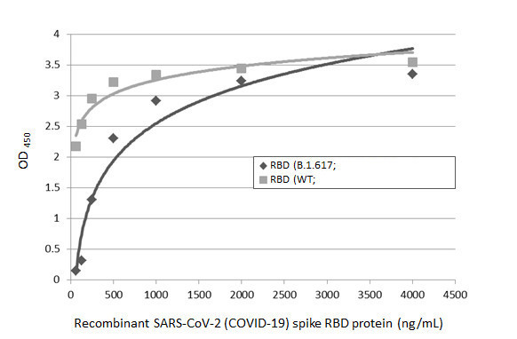 SARS-CoV-2 Spike Protein RBD (strain Wuhan-Hu-1) Antibody in ELISA (ELISA)