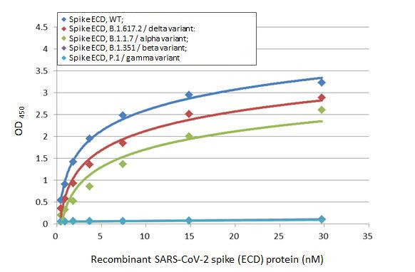 SARS-CoV-2 Spike Protein RBD (strain Wuhan-Hu-1) Antibody in ELISA (ELISA)