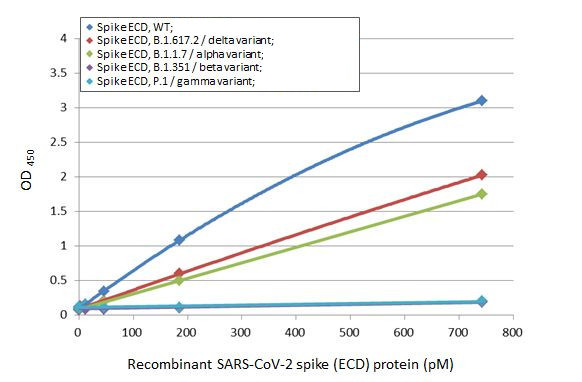 SARS-CoV-2 Spike Protein RBD (strain Wuhan-Hu-1) Antibody in ELISA (ELISA)