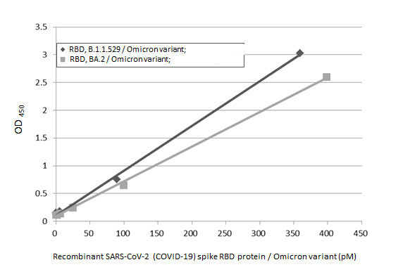 SARS-CoV-2 Spike Protein RBD (strain Wuhan-Hu-1) Antibody in ELISA (ELISA)