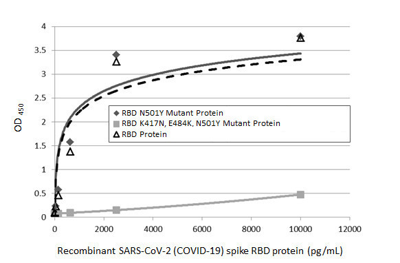 SARS-CoV-2 Spike Protein RBD (strain Wuhan-Hu-1) Antibody in ELISA (ELISA)