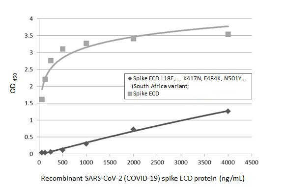 SARS-CoV-2 Spike Protein RBD (strain Wuhan-Hu-1) Antibody in ELISA (ELISA)