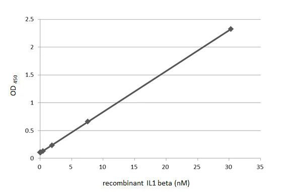 IL-1 beta Antibody in ELISA (ELISA)