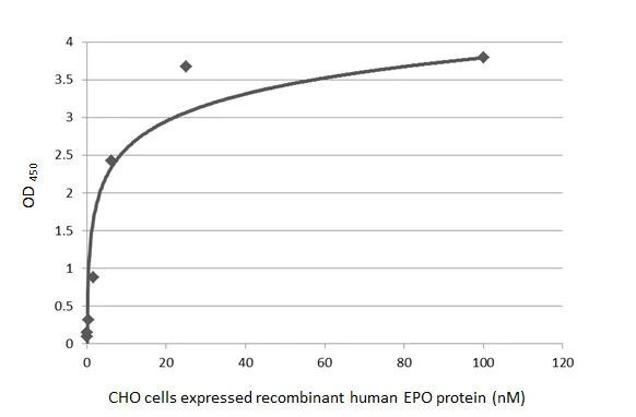 Epo Antibody in ELISA (ELISA)