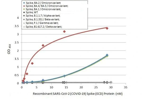 SARS-CoV-2 Spike Protein RBD Omicron Antibody in ELISA (ELISA)