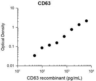 CD63 Antibody in ELISA (ELISA)