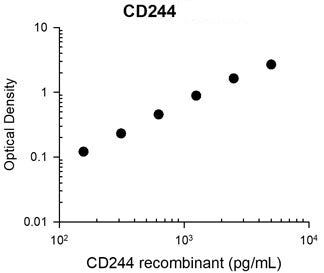 CD244 (2B4) Antibody in ELISA (ELISA)