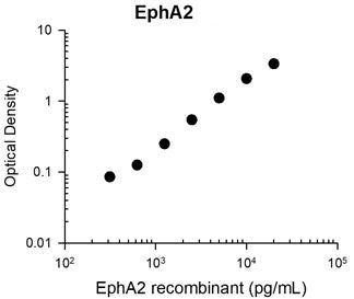 EphA2 Antibody in ELISA (ELISA)