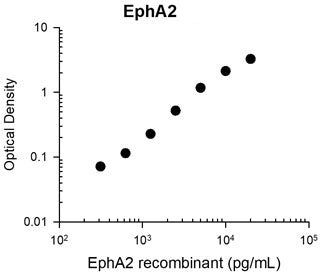 EphA2 Antibody in ELISA (ELISA)